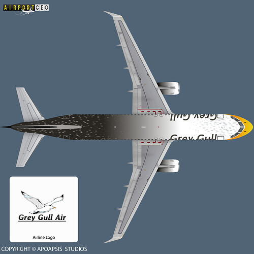 A320 - Contest Grey Gull