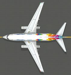 B737200_aviatsalines