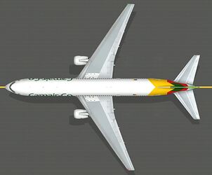 B767300_camairco