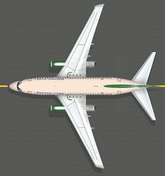 B737200_karinou