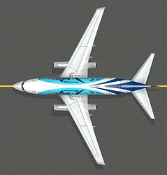 B737200_aviatsawhale