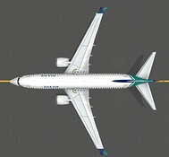 B737MAX8_Silk