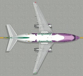 B737-200 Bufeo