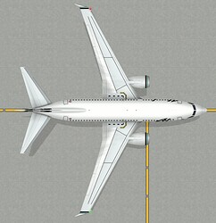 B737-700 Winglets
