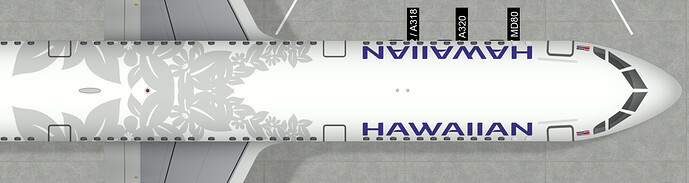 Hawaiian A321 Nose
