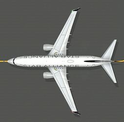 B737800_unitedStaralliance