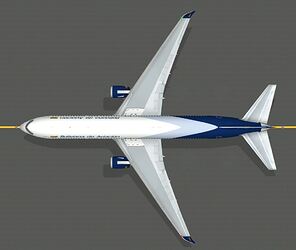 B767300_bolwinglet