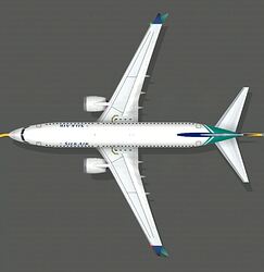 B737MAX8_Silk