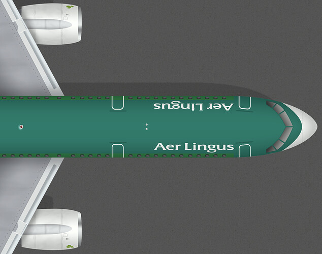 Aer Lingus B757-200 Nose