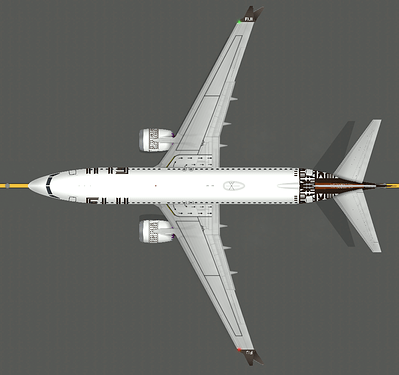 B737MAX8_fiji