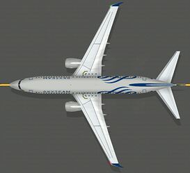 B737800_skyteam