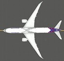 B7879_hawaiian