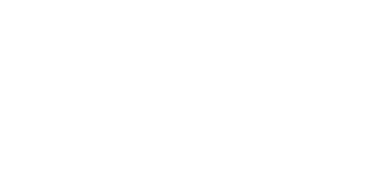 Southwest_Inv