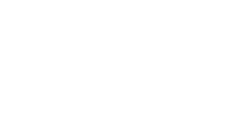 Sunwing_Inv