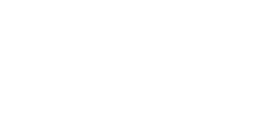 VivaAerobus_Inv
