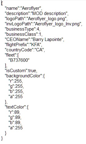 Airportceo_bug0